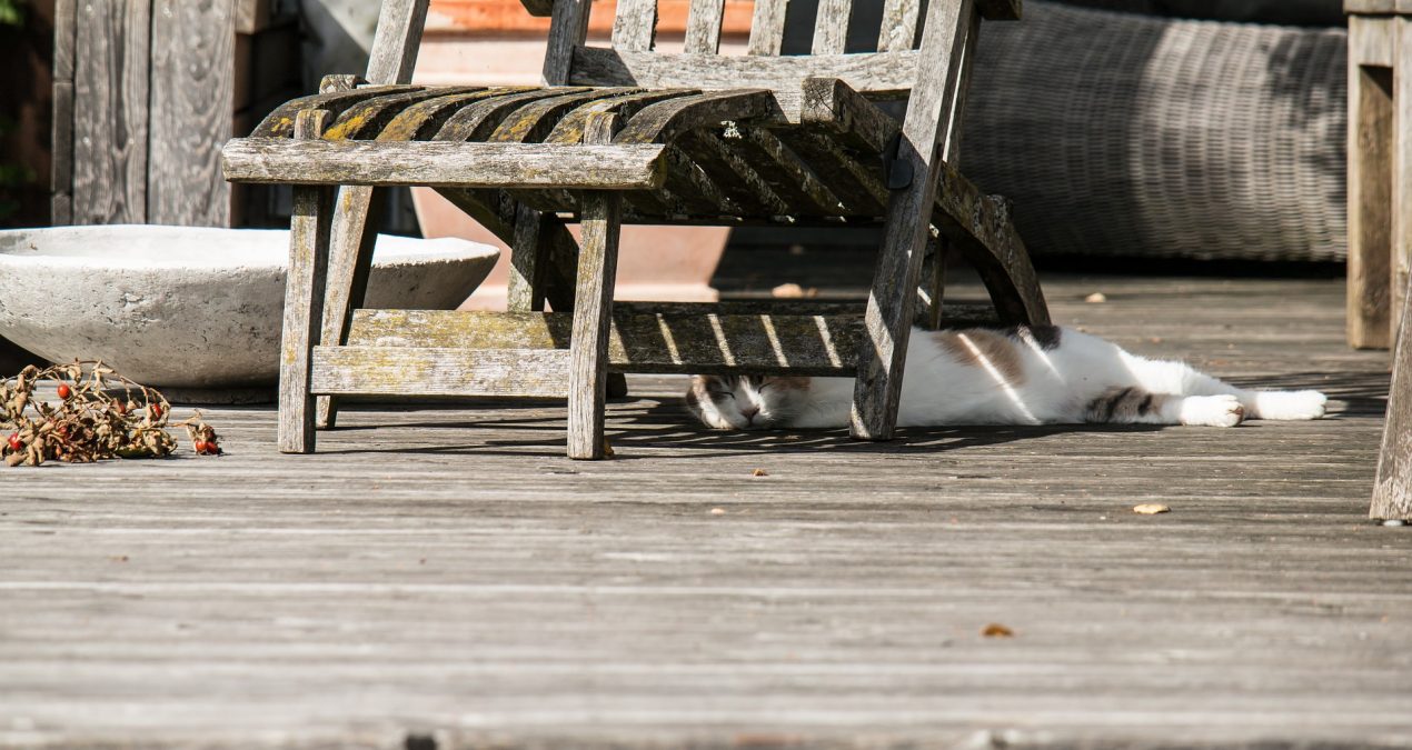 Comment rénover sa terrasse en bois ?