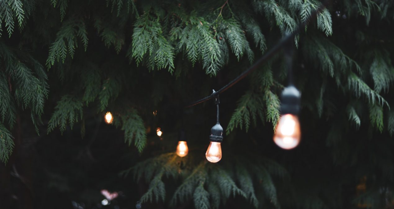 Comment mettre en lumière le jardin ?